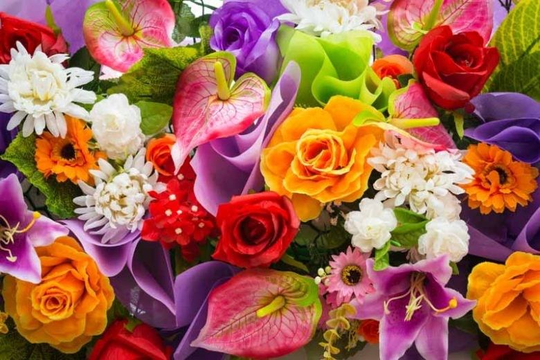 types-of-flowers-780x520.jpeg