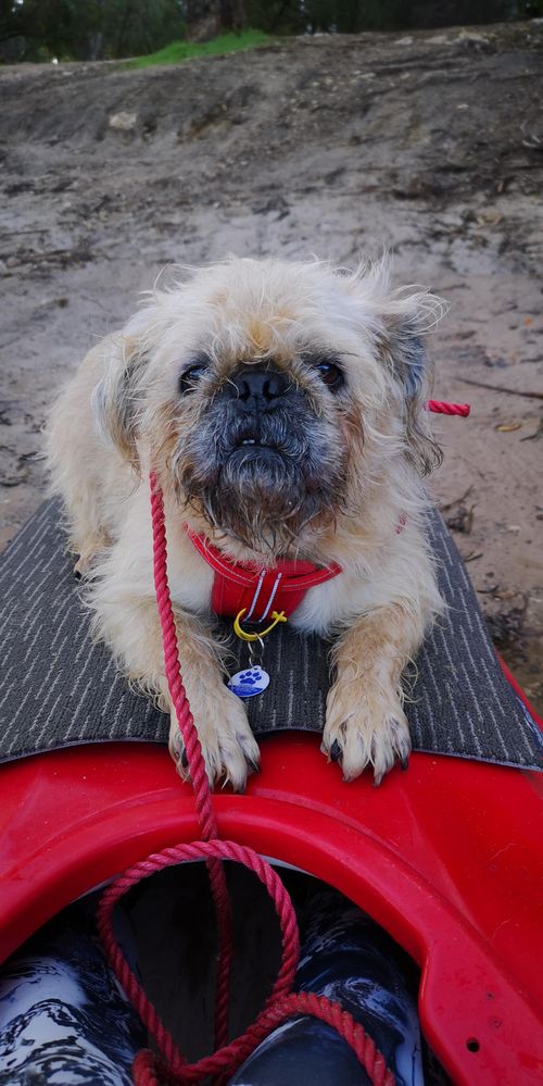 Gordon on his first Kayaking adventure.