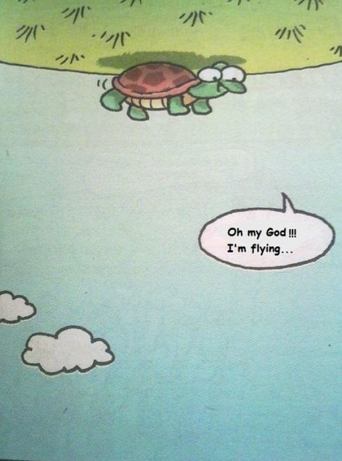 Oh-my-god-I-am-flying-turtle.jpg