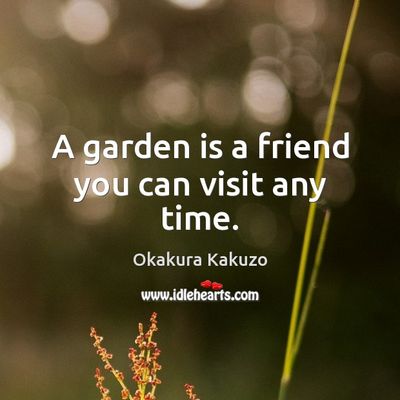 a-garden-is-a-friend-you-can-visit-any-time.jpg