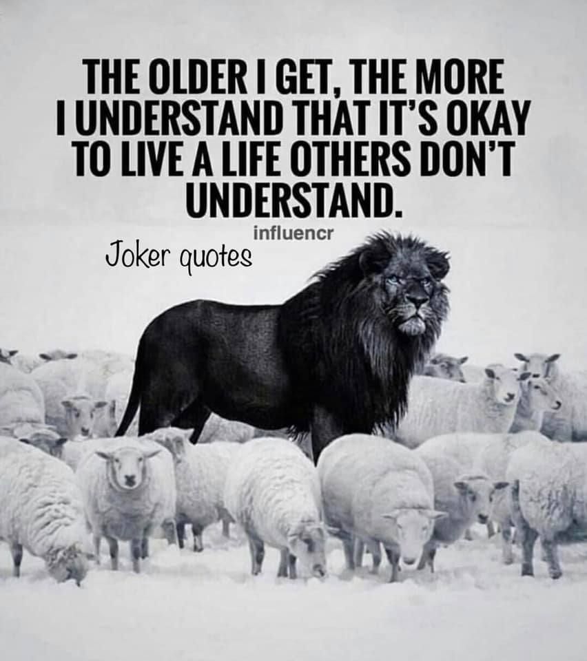 lionamongsheep.jpg